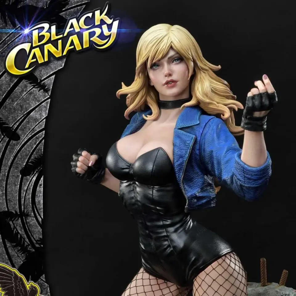 Museum Masterline DC Comics Black Canary